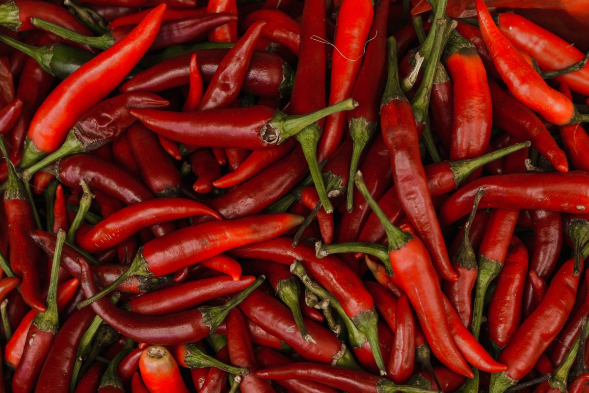 red chili peppers in close up photography